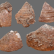 Shell fragments found in the cave.